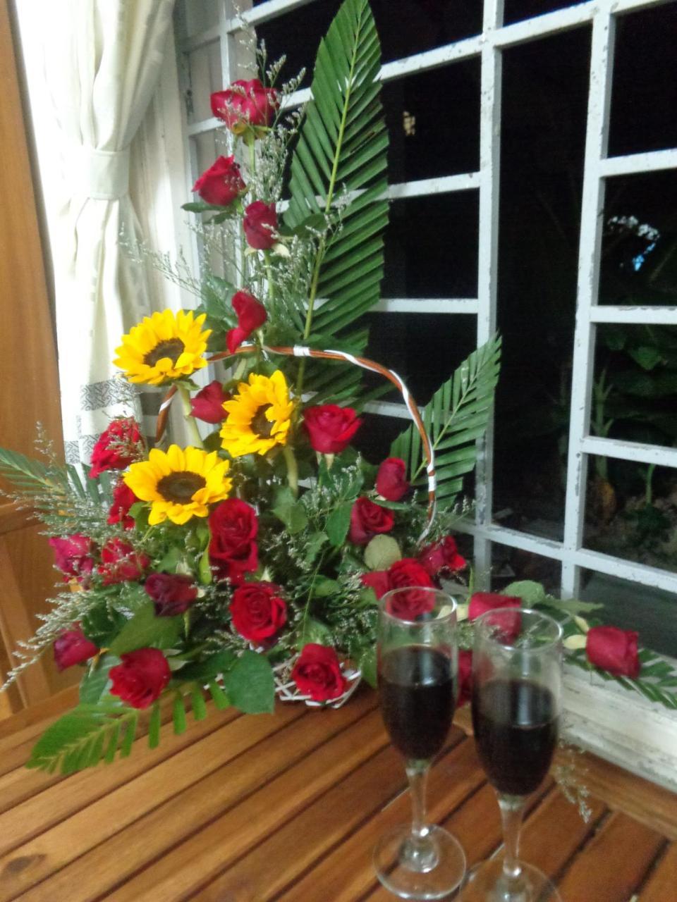 Gingergrass Homestay Хой Ан Екстериор снимка